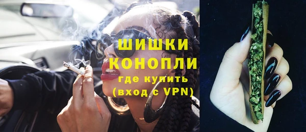 дурь Осташков