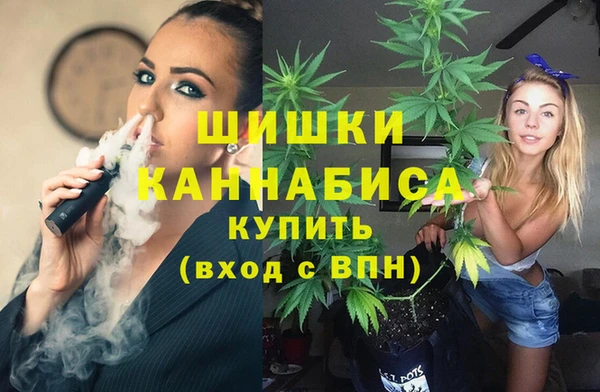 ешки Осинники