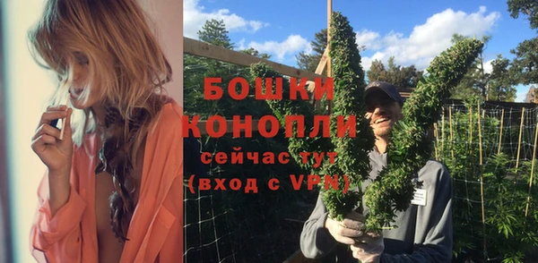 дурь Осташков