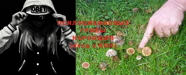 ешки Осинники