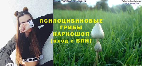 дурь Осташков