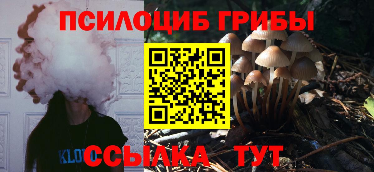 Псилоцибиновые грибы GOLDEN TEACHER  Галлюциногенные грибы Psilocybine cubensis  Вход с VPN  Ртищево 