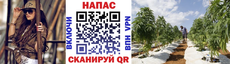 закладки  Ртищево  Каннабис AK-47 