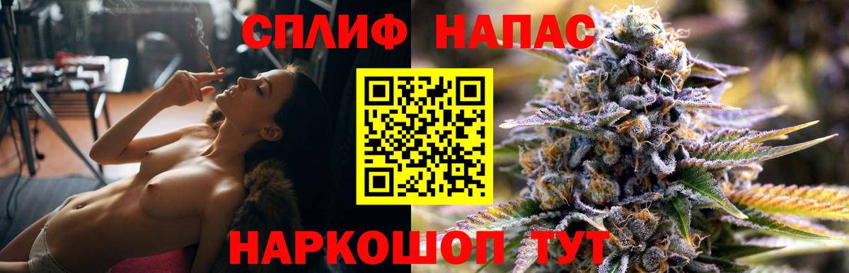 Каннабис сатива Ртищево